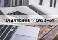 广东专业网页设计哪家（广东网站设计公司）